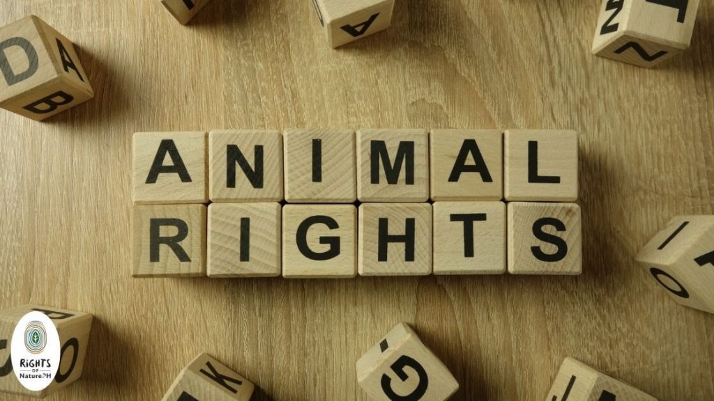 animal rights blocks