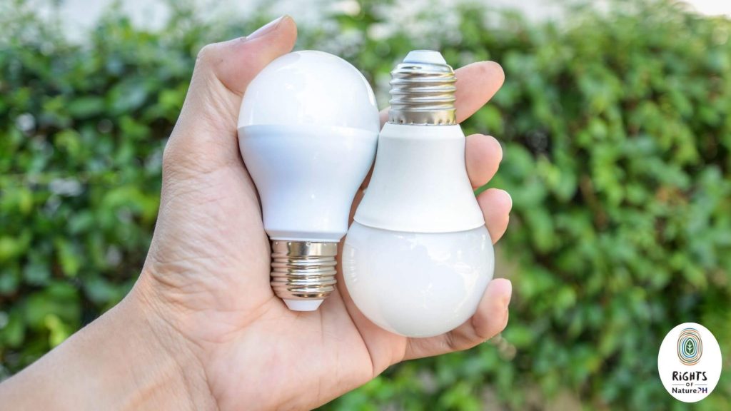 led bulbs