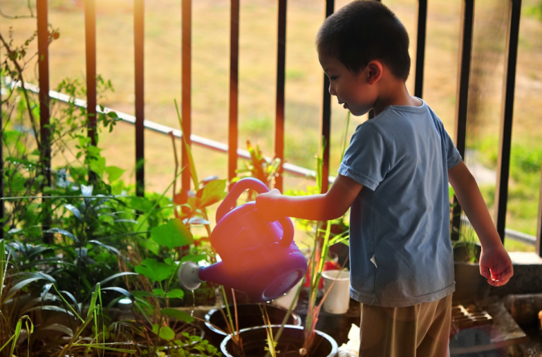 Sapat Sustainable Parenting - Pot Gardening
